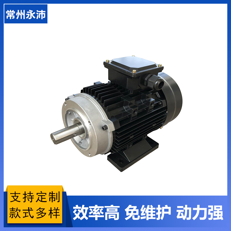 有軌無軌電動平車直流電機(jī) 無刷控制器 計(jì)量泵電機(jī)